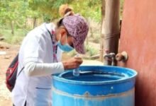 Photo of SP reporta nuevos casos de dengue, leptospirosis y malaria