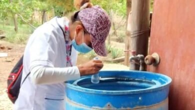 Photo of SP reporta nuevos casos de dengue, leptospirosis y malaria