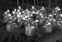 Photo of El Ejército somete 256 personas por tráfico de indocumentados