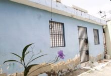 Photo of Feminicidios en mayo dejan dolor y familias destrozadas