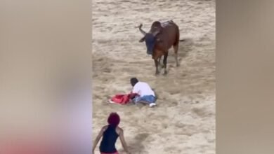 Photo of Hombre es embestido por un toro durante corridas en El Seibo