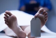 Photo of Fallece turista colombiano en Bayahíbe en una excursión