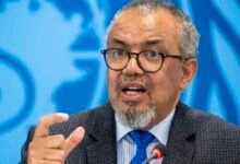 Photo of OMS: el riesgo del hantavirus en Tenerife es «bajo»