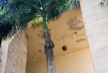 Photo of Servicios Penitenciarios sigue operando en edificio con riesgo sísmico