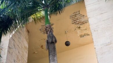 Photo of Servicios Penitenciarios sigue operando en edificio con riesgo sísmico